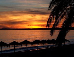 Marbella spanish miss languages international spanish school Marbella spanish miss languages international spanish school
