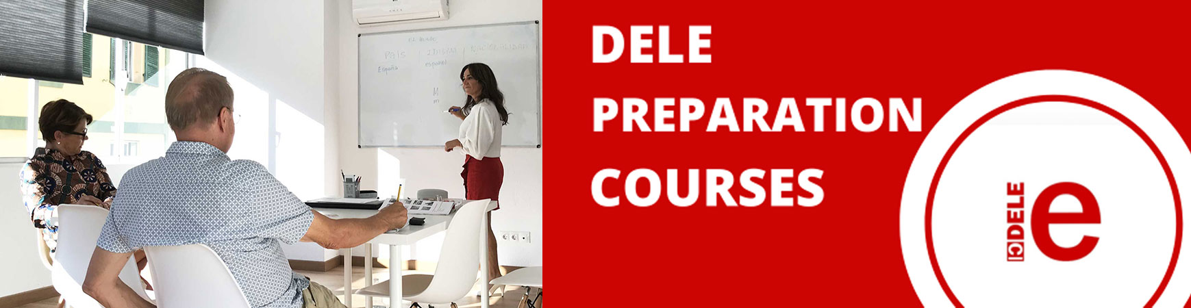 dele preparation spanish courses marbella international spanish school marbella