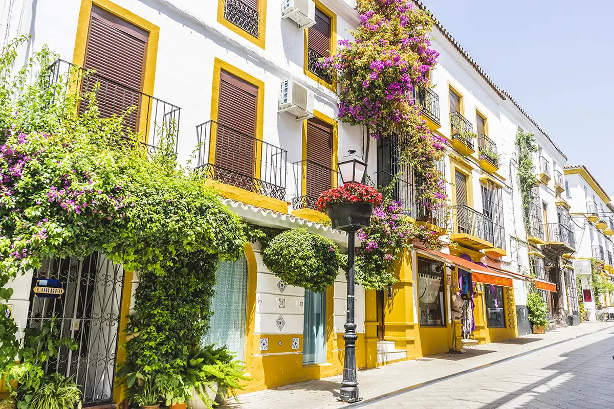 Intensive Spanish Courses in Marbella Intensive Spanish Courses in Marbella