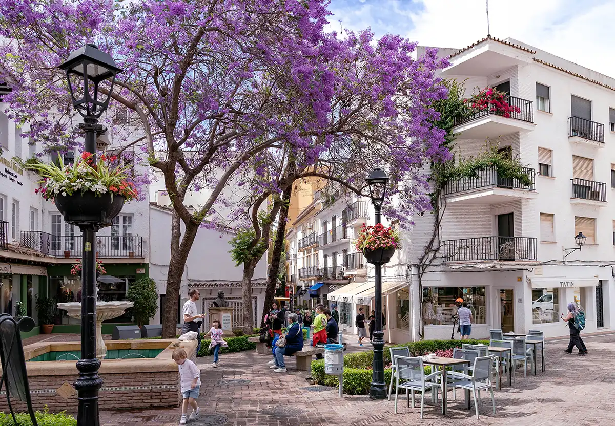 Why Expats Living in Marbella Should Learn Spanish Why Expats Living in Marbella Should Learn Spanish